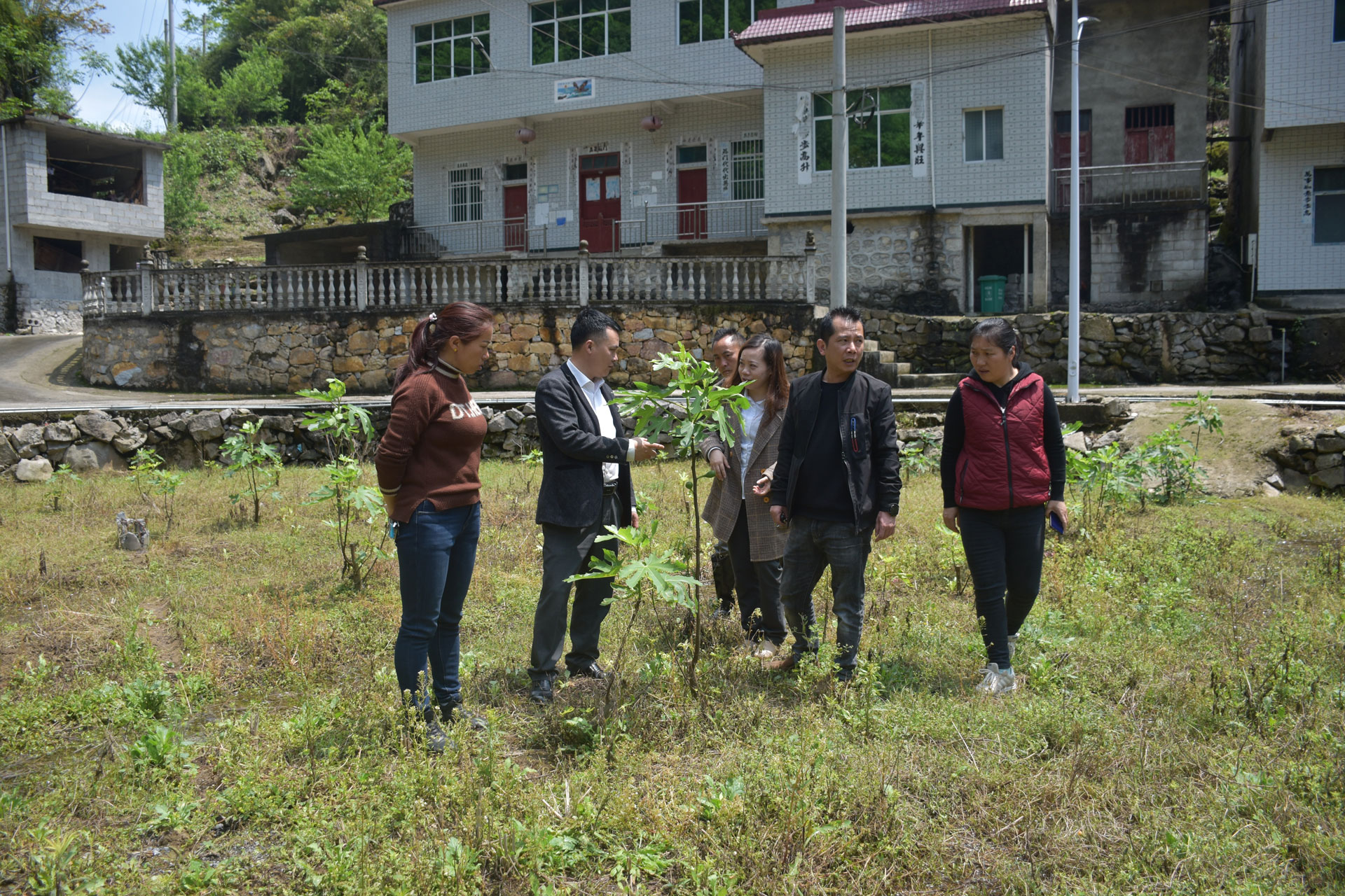 到聯(lián)系村沫陽董架村無花果基地開展實地調(diào)研